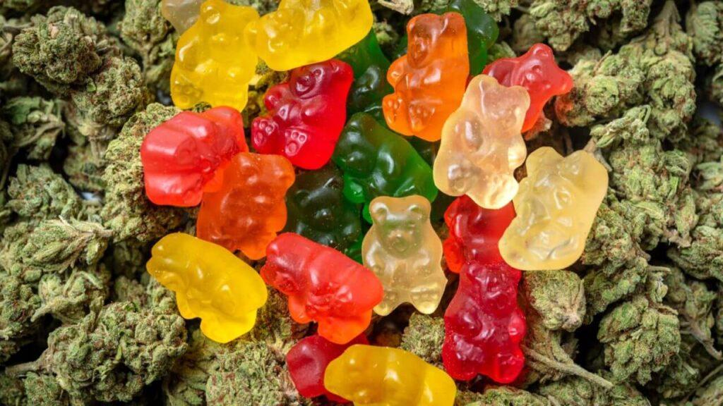 Buy THC Gummies Online Australia | Discreet Shipping | HIGH LIFE AU