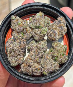 Buy Lemon Cherry Gelato Strain